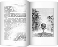 Диалоги китайский мудрецов. Чань-буддийские истории об истине, безумии и радости - Фото 6