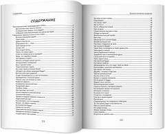 Диалоги китайский мудрецов. Чань-буддийские истории об истине, безумии и радости - Фото 10