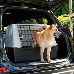 Переноска для транспортировки животных - Фото 1