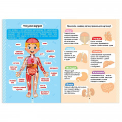 Наклейки «Секреты тела человека» - Фото 1