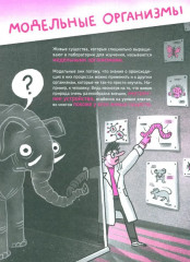 Микросупергерои. Самые полезные - Фото 6