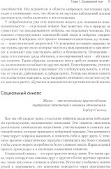 Нейробиология привязанности - Фото 4