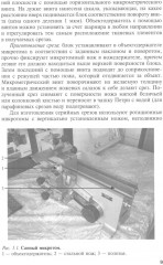 Общая и частная гистология - Фото 7