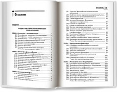 Философия в схемах и таблицах - Фото 12