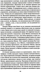 Метаморфоза Килиана Менке. История одного странного происшествия - Фото 12