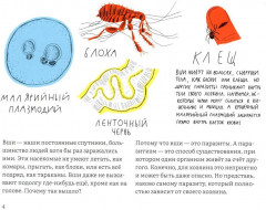 Почему голова чешется? - Фото 3