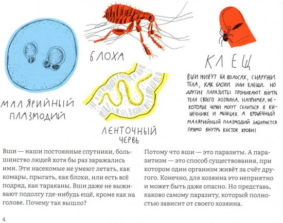 Почему голова чешется?