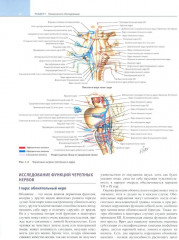 Неврология по Неттеру. Том 1 - Фото 8