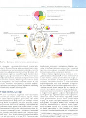 Неврология по Неттеру. Том 1 - Фото 9