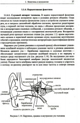 Введение в науку о языке: лингвистика XXI века. Том 1. Теория языка. Язык и познание - Фото 7