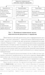 Террор и антитеррор в условиях глобализации - Фото 6