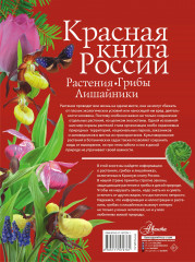 Красная книга России. Растения, грибы и лишайники - Фото 1