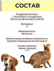 Биологически активная кормовая добавка «Вит-Актив Хондро» для собак и кошек - Фото 4