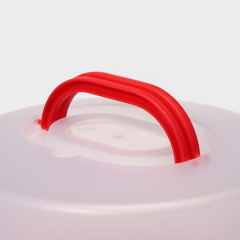 Тортовница с крышкой и съёмной подставкой для пирожных «Сладости» - Фото 2