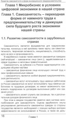 Развитие самозанятости и форм инновационного предпринимательства - Фото 4