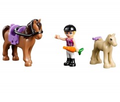 Ранчо «Саншайн» - Фото 5