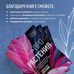 Про растения. Как выбрать комнатные под свой стиль и ухаживать за ними без стресса - Фото 4