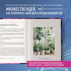 Про растения. Как выбрать комнатные под свой стиль и ухаживать за ними без стресса - Фото 5