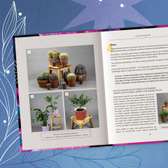 Про растения. Как выбрать комнатные под свой стиль и ухаживать за ними без стресса - Фото 9