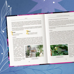 Про растения. Как выбрать комнатные под свой стиль и ухаживать за ними без стресса - Фото 10