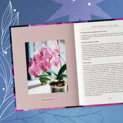 Про растения. Как выбрать комнатные под свой стиль и ухаживать за ними без стресса - Фото 11