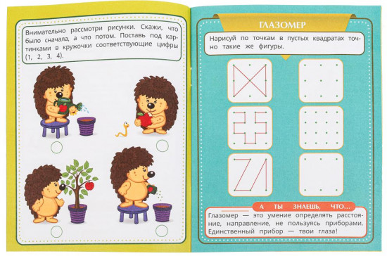 Брошюра «Развиваем логику»
