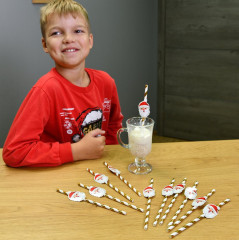 Набор трубочек для коктейля «Рождество» - Фото 1