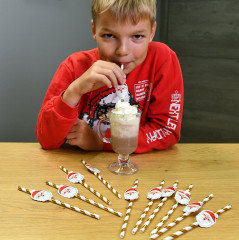 Набор трубочек для коктейля «Рождество» - Фото 2