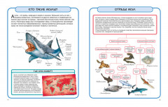 Акулы и скаты - Фото 6