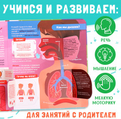 Как устроено моё тело? - Фото 1