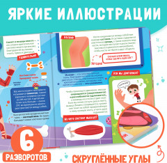 Как устроено моё тело? - Фото 3