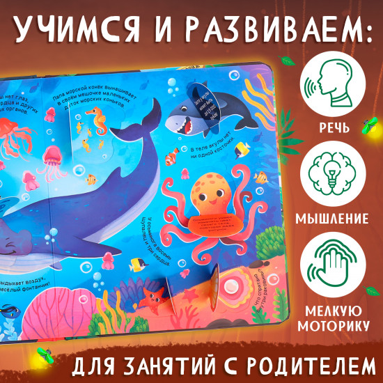 Мир животных