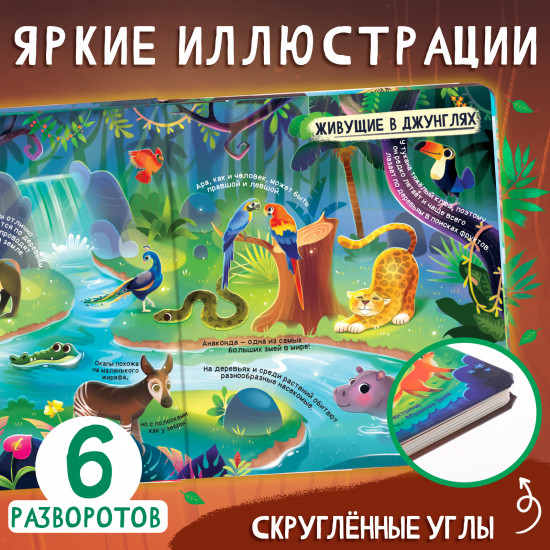 Мир животных