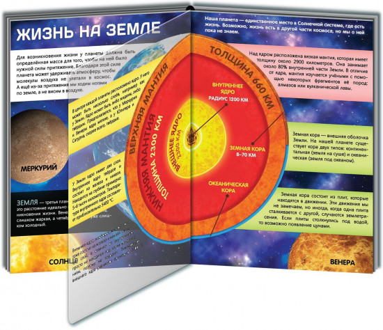 Жизнь на земле. Животные и где они обитают