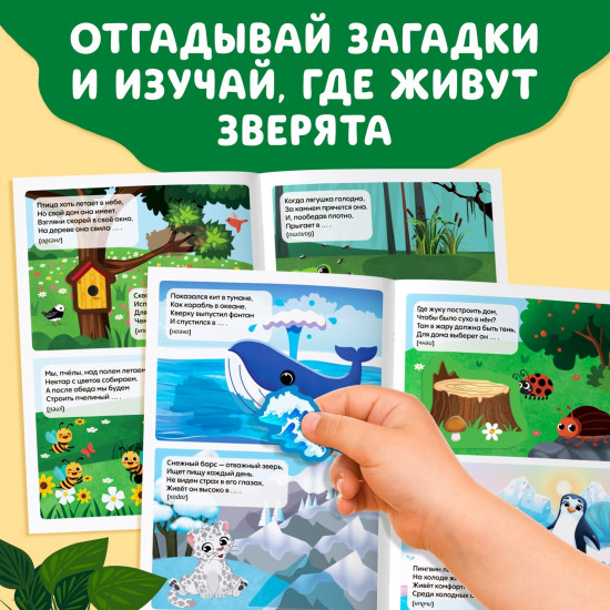 Кто где живёт?