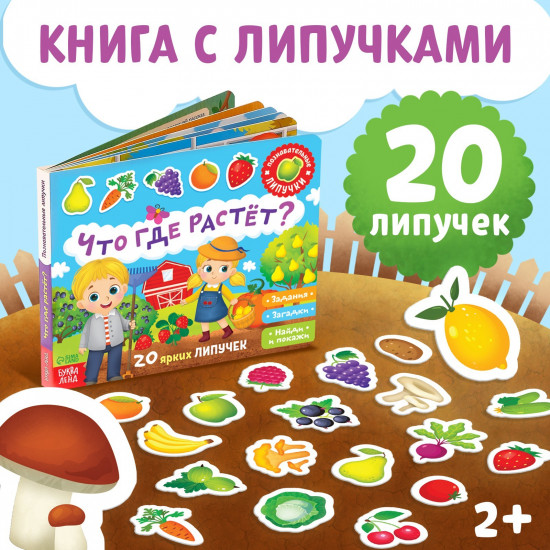 Книжка с липучками. Что где растёт?