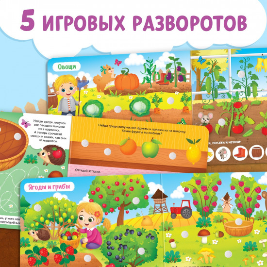 Книжка с липучками. Что где растёт?