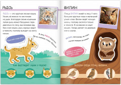 Жители леса. Читай, играй, узнавай - Фото 2