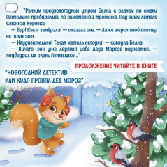 Новогодний детектив или куда пропал Дед Мороз - Фото 3