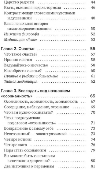 Сон наяву. Размышления, притчи, медитации