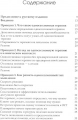 Семь принципов односессионной терапии - Фото 1