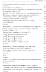 Семь принципов односессионной терапии - Фото 2