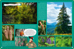 Природа России. 1000 удивительных фактов - Фото 4