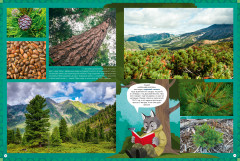 Природа России. 1000 удивительных фактов - Фото 5