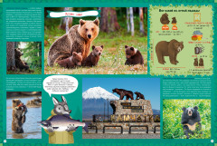 Природа России. 1000 удивительных фактов - Фото 6