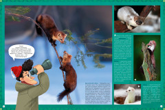 Природа России. 1000 удивительных фактов - Фото 8