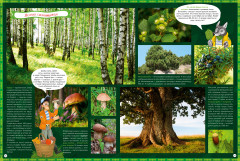 Природа России. 1000 удивительных фактов - Фото 1