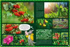 Природа России. 1000 удивительных фактов - Фото 2