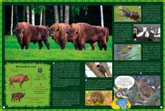 Природа России. 1000 удивительных фактов - Фото 7