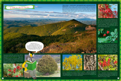 Природа России. 1000 удивительных фактов - Фото 9